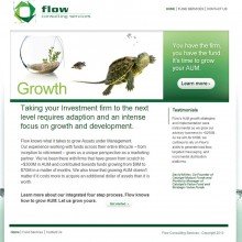Flow Consulting Services